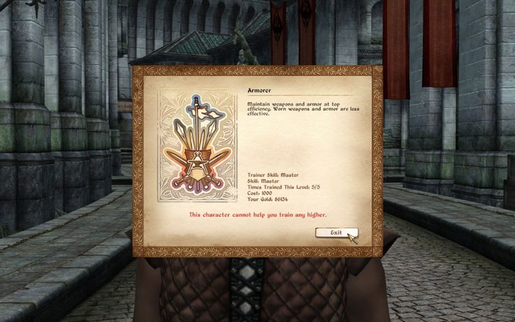 a screenshot from the video game elder scrolls iv: oblivion, showing the character's armor skill training menu. the character is at the maximum level for armor training.  a graphic of a variety of swords and armor is displayed, with text underneath describing how to level up this skill and a message saying the character cannot help the player level up any higher.  the character's body is blurred in the foreground, with the training menu open in the center of the screen.
