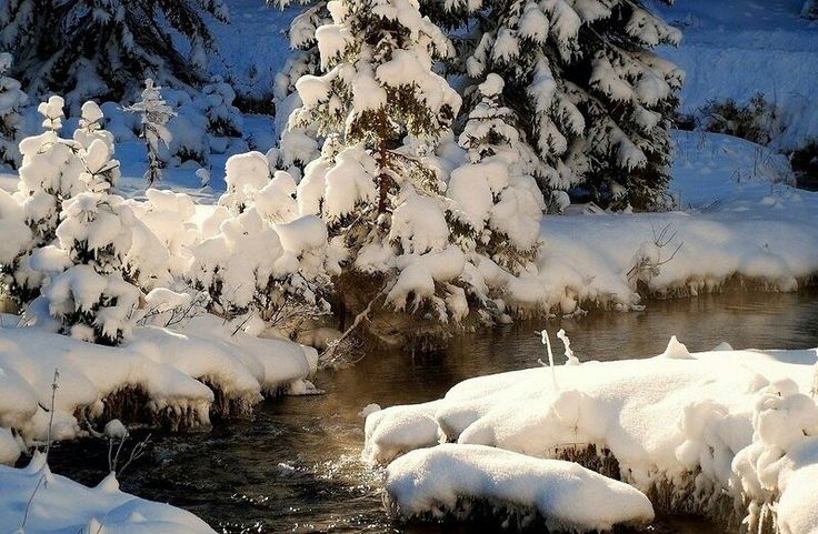 the image shows a serene winter scene with snowcovered trees and a river flowing through it. sunlight reflects on the water, creating a tranquil and picturesque landscape. the snow covers everything, giving a cold and peaceful ambiance.