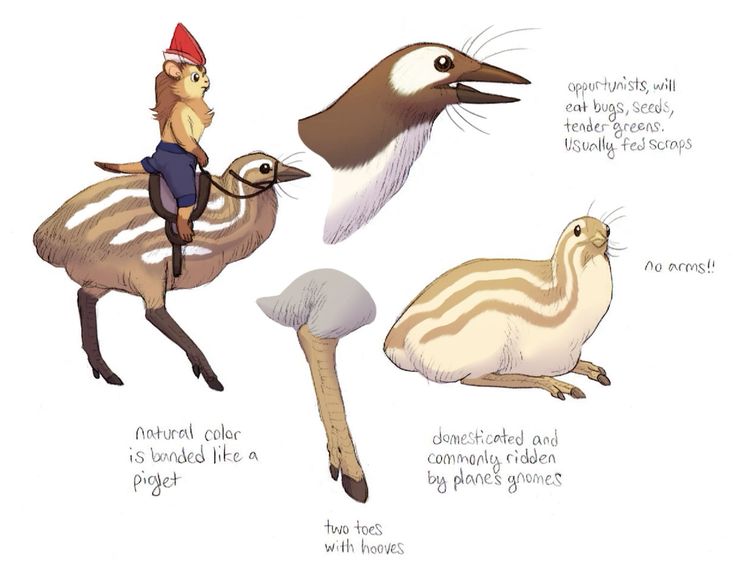 the image is an illustration of a fantastical creature, a bird, a gnome, and a piglet. the gnome is riding the bird and the piglet is sitting on the ground. the bird is a plane gnome which is a domesticated and commonly ridden bird, the gnome is an opportunist, and the piglet is a creature with no arms.