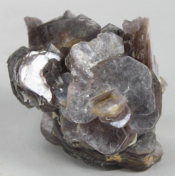 a cluster of translucent, platy, stacked lepidolite crystals. the crystals are purple to grayishpurple with a slight pink hue. the crystals are intergrown with a few tan crystals, possibly muscovite. the crystals are set on a matrix of darker lepidolite.  this is a good, representative example of lepidolite.