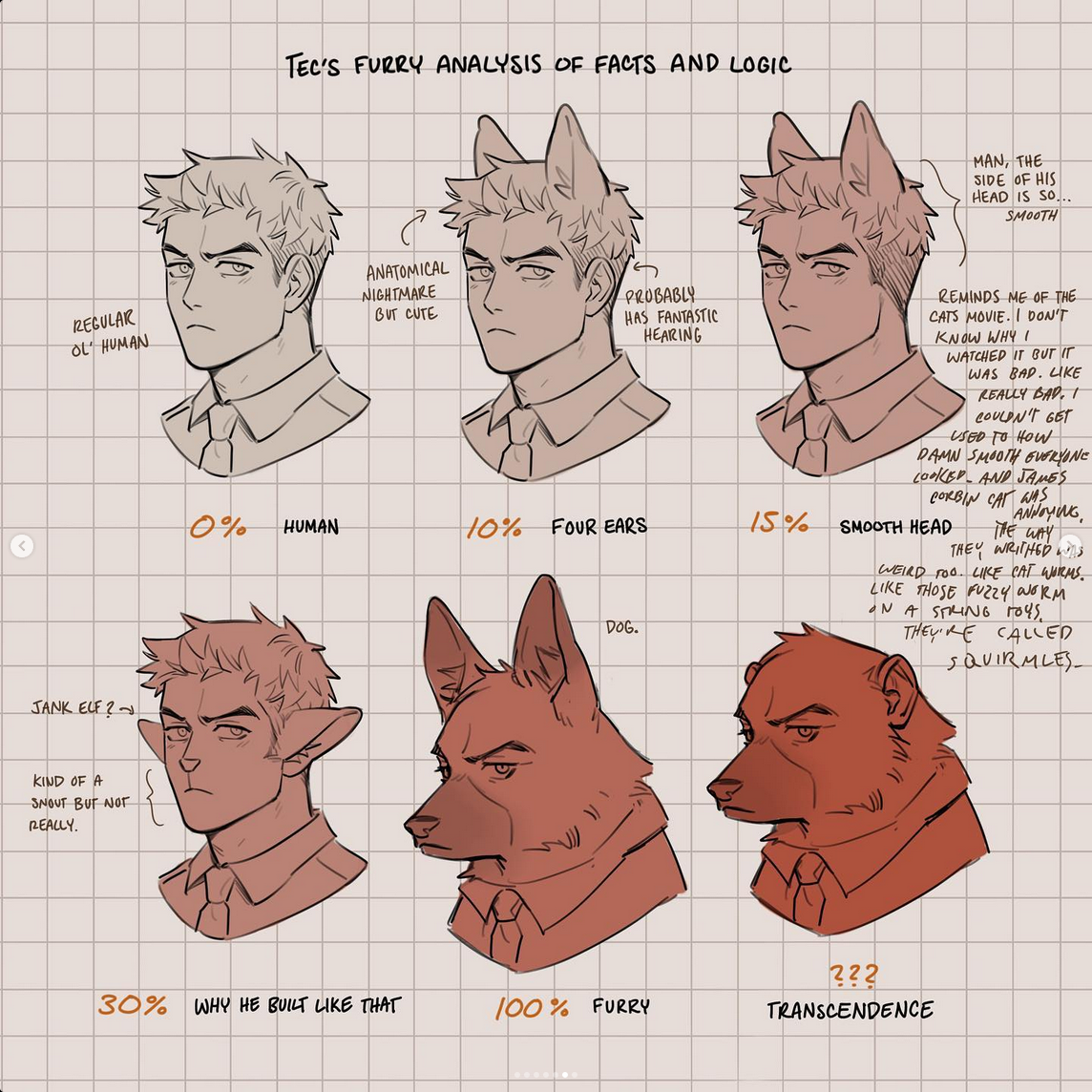 this image is a humorous analysis of a man's transformation into a furry creature. it's depicted as a scientific chart, with different stages of the transformation labeled with percentages and observations.  the drawings highlight changes in his head shape, ears, and overall "smoothness" as he progresses from human to a more animalistic form.  the artist includes funny commentary about the transformation, comparing it to the movie "cats" and referencing "cat worms" and "fuzzy worms" with a playful disgust. the overall tone is lighthearted and comedic, poking fun at the concept of furries and the specific visual elements associated with them.