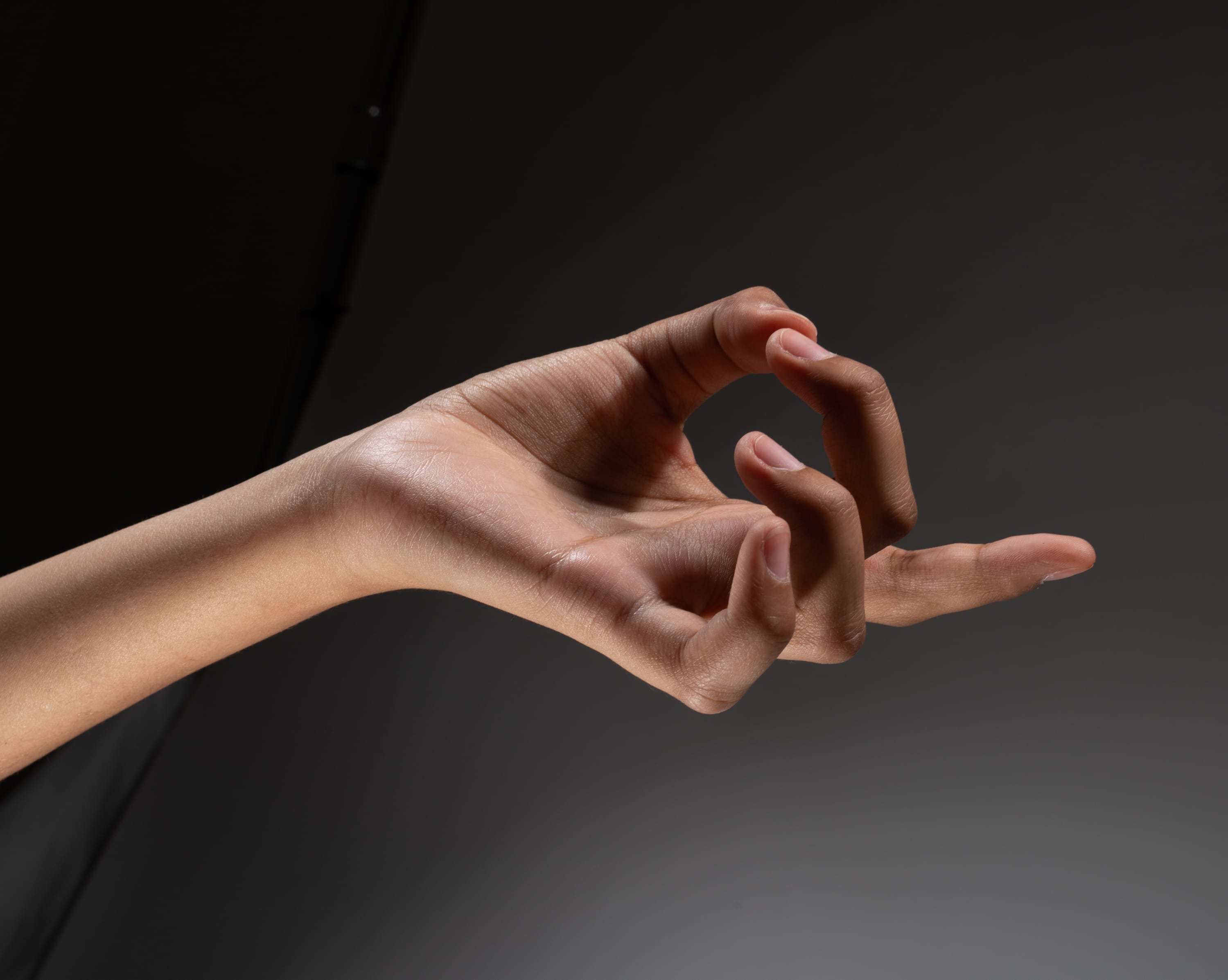 a closeup shot of a hand with a dark gray background. the hand is posed delicately, illuminated by studio lighting that emphasizes the texture and contours of the skin.