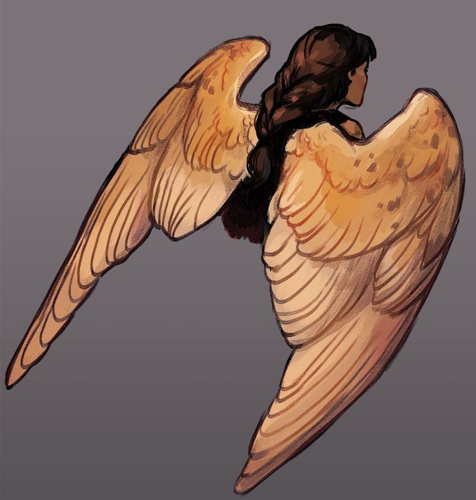 the image is a digital painting or illustration depicting the back of a woman with large, goldenorange feathered wings.  the wings are detailed, showing individual feathers and a textured appearance. the woman has long, dark brown hair styled in a braid.  she is viewed from behind, and her body is largely obscured by her wings. the background is a muted gray, drawing focus to the figure and its wings. the overall style is fantasyinspired and evocative of angelic or mythical beings.