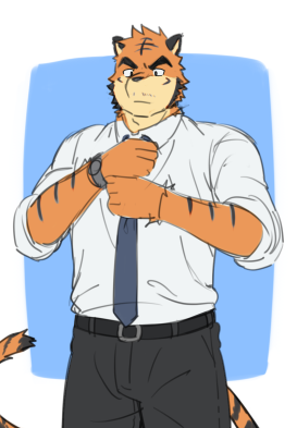 the image is a digital drawing or sketch of an anthropomorphic tiger dressed in business attire. the tiger is a male, with orange fur and black stripes visible on his arms. he's wearing a white dress shirt, a darkcolored tie, dark pants, and a watch on his left wrist.  his expression is serious and he appears to be adjusting his tie. he has a fairly muscular build. the background is a simple light blue rectangle. the style is reminiscent of furry art, with a slightly rough sketchlike quality. the tiger's tail is partially visible at the bottom left.