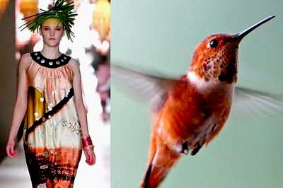 a woman wearing a floral patterned dress and a crown of leaves stands in front of a white background. a hummingbird with orange feathers is in the background of the photo with its wings spread out.