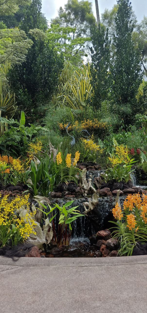 a picturesque scene unfolds in a tropical garden. lush green foliage creates a verdant backdrop, adorned with vibrant yellow flowers that bloom profusely. a small waterfall cascades over mossy rocks, creating a soothing melody. the natural beauty of the garden is enhanced by the intricate landscaping and the presence of towering green trees.