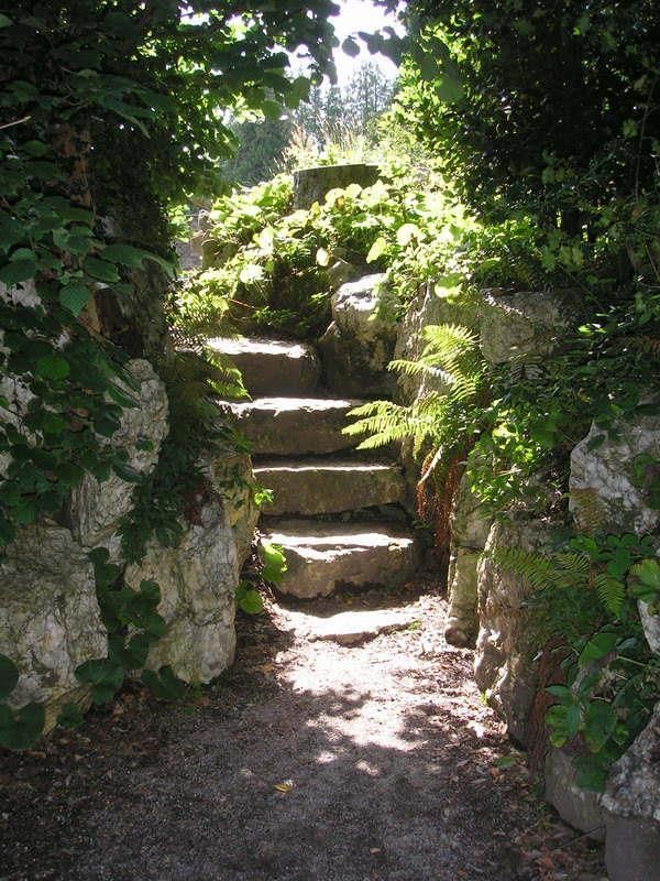 the image shows a stone staircase winding through a lush, green garden. the path is partially shaded by trees and overgrown vegetation, with sunlight filtering through the leaves. the steps are made of large, irregular stones, and the surrounding area is filled with various types of plants and ferns. the overall atmosphere is tranquil and peaceful.
