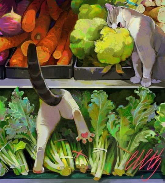 a white cat with grey ears is perched on a shelf in a refrigerator. there are fresh vegetables stacked on shelves below the cat. the vegetables include carrots, celery and lettuce. the cat is reaching down for some celery. there is broccoli on the shelf above the cat.  the cat is looking at the camera with a playful expression.