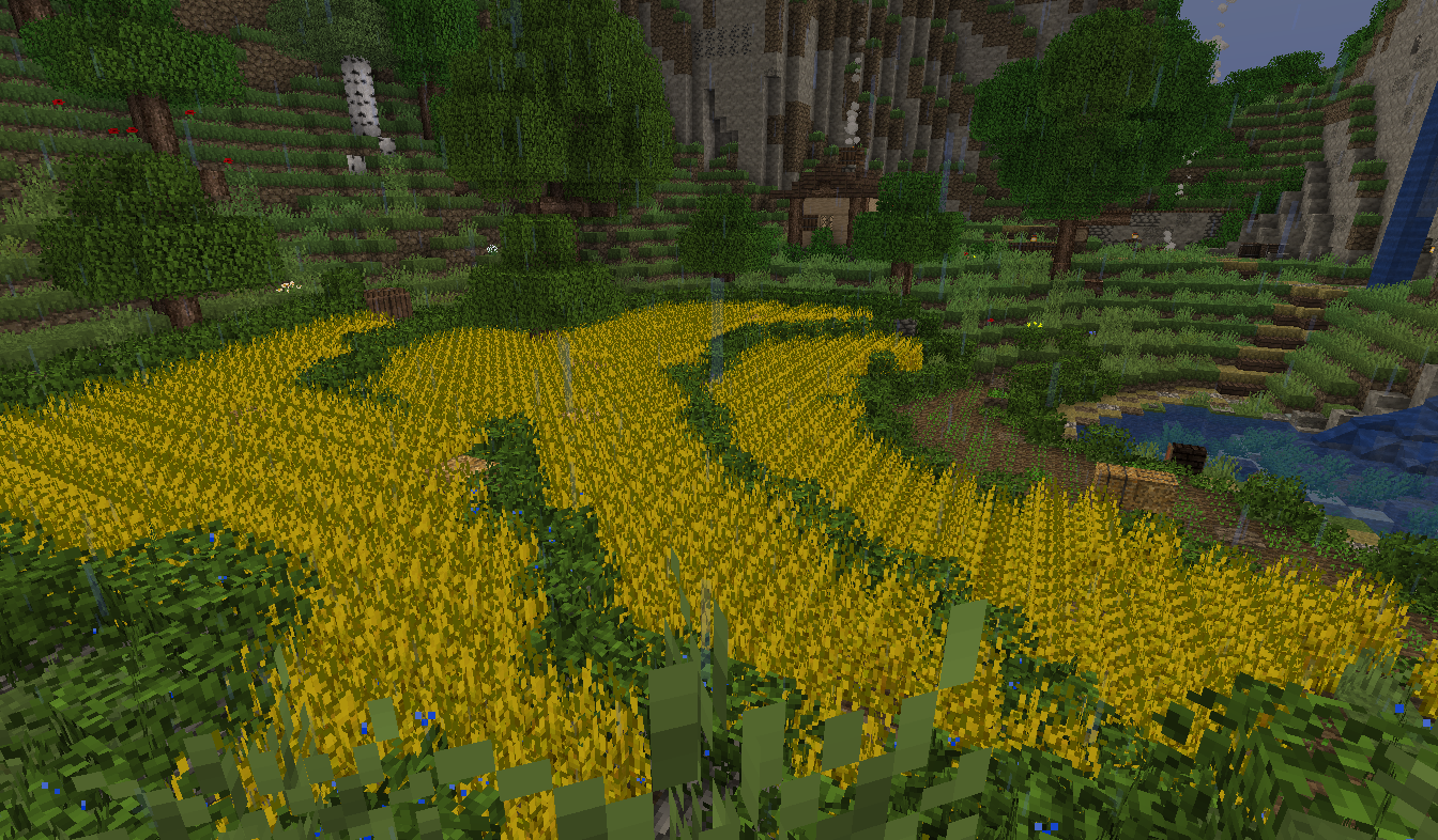 the image shows a large, fully grown wheat field in minecraft. it's raining, and the field is situated on a hillside. in the background, there are trees, mountains, and a small waterfall. a small house is also visible among the trees. a birch tree and a few sheep are on a higher part of the hillside.
