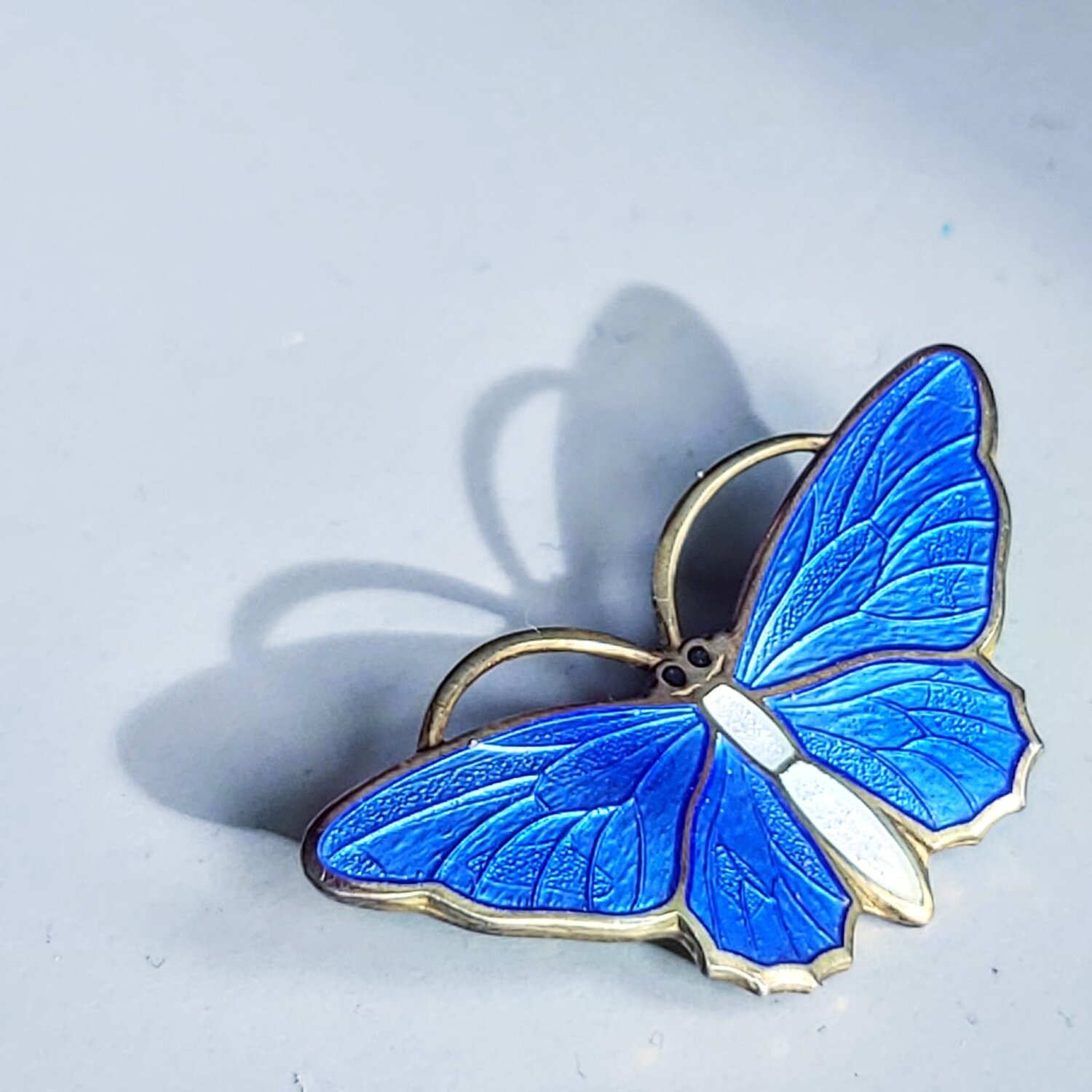 a silver butterfly brooch with blue enamel wings and white enamel accents lies on a light gray surface. the brooch is intricately designed with delicate details on the wings, mimicking the natural beauty of a butterfly. the natural light casts a shadow of the brooch, enhancing its threedimensional appearance.
