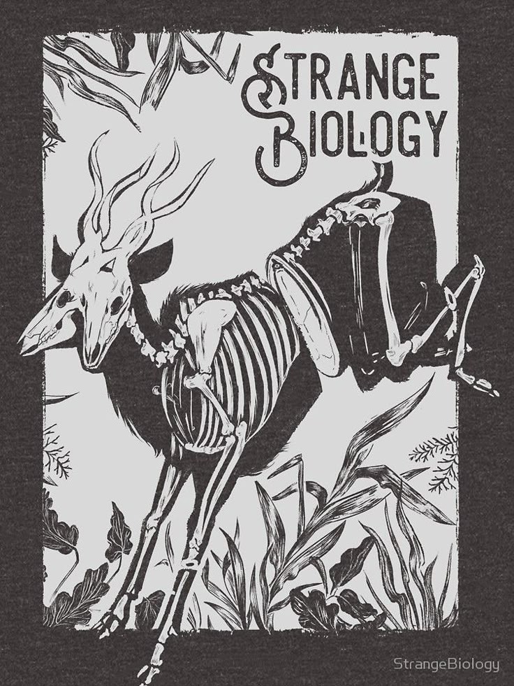 the image is a black and white illustration. the main subject is a deer skeleton, prominently featured against a pale background. the deer's skeletal structure is detailed, contrasting with the silhouette of fur on its body. the title "strange biology" is positioned above the deer, and the scene is surrounded by vegetation and plants, adding a botanical element. the style is reminiscent of vintage anatomical illustrations.