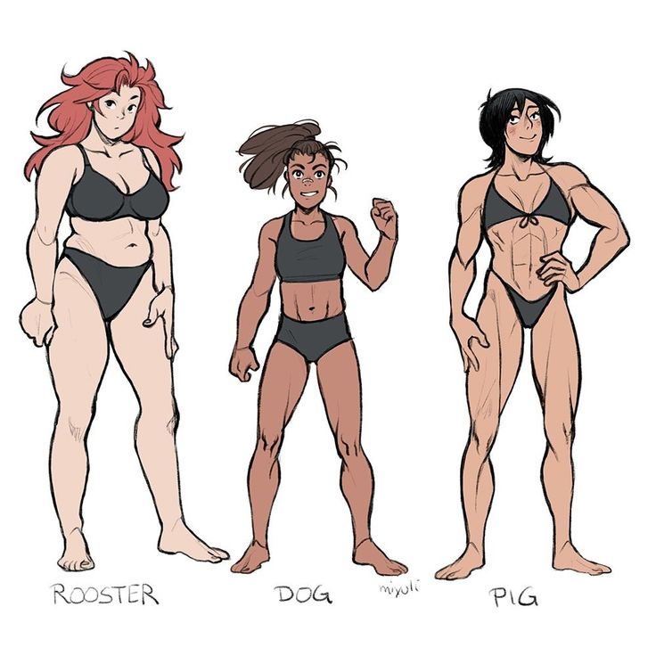 the image showcases three female characters in athletic wear, each representing a different body type and labelled with a zodiac animal.  the character on the left, labelled "rooster," has a larger, curvier build. the center character, "dog," has a more athletic and muscular physique, while the character on the right, "pig," is highly muscular and toned.  the art style is reminiscent of anime or manga, with clean lines and a focus on character design. each character is depicted from a slightly threequarter view, showing off their respective body shapes and poses. the background is plain white, focusing attention on the figures.
