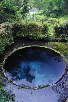 a circular opening in the ground reveals a pool of deep blue water. the edges of the opening are lined with rocks, and the surrounding area is overgrown with lush green vegetation.  the natural beauty of the scene is highlighted by the contrast between the dark blue water and the vibrant green foliage.