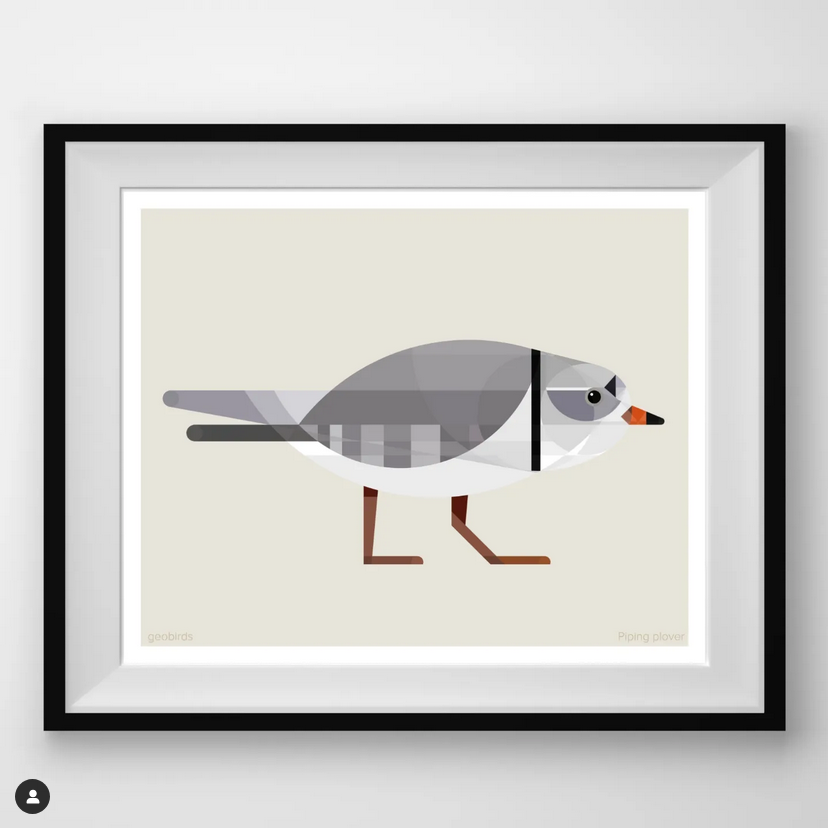 a black framed print of a geometric design of a piping plover in a white mat. the design is in gray, white, red, and black. the bird is standing on its long legs. the title of the print "piping plover" and the artist's name "grebirds" is written in small text at the bottom of the image.