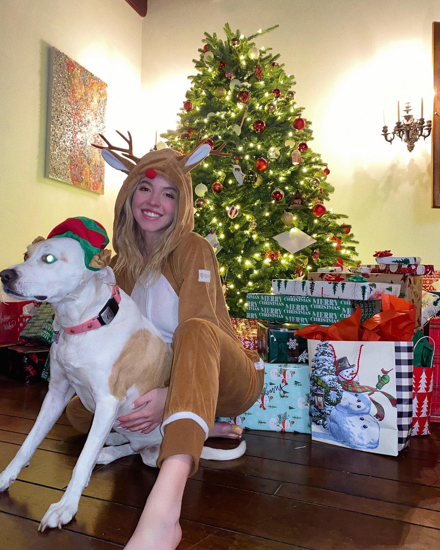 woman in a brown reindeer onesie sits on the floor next to a large christmas tree. she is smiling and holding a white and brown dog wearing an elf hat.  many wrapped presents and gift bags are surrounding them on the wooden floor. the setting is a cozy, homey living room with a piece of art on the wall.