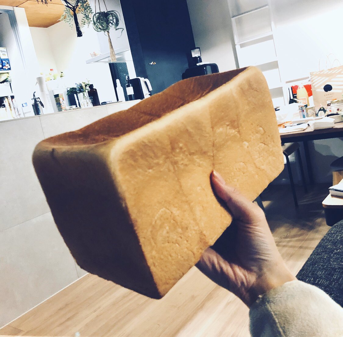 a person is holding a large loaf of bread in their hand. the bread is a light brown color and has a soft, fluffy appearance. the person is indoors and the background is slightly blurred.