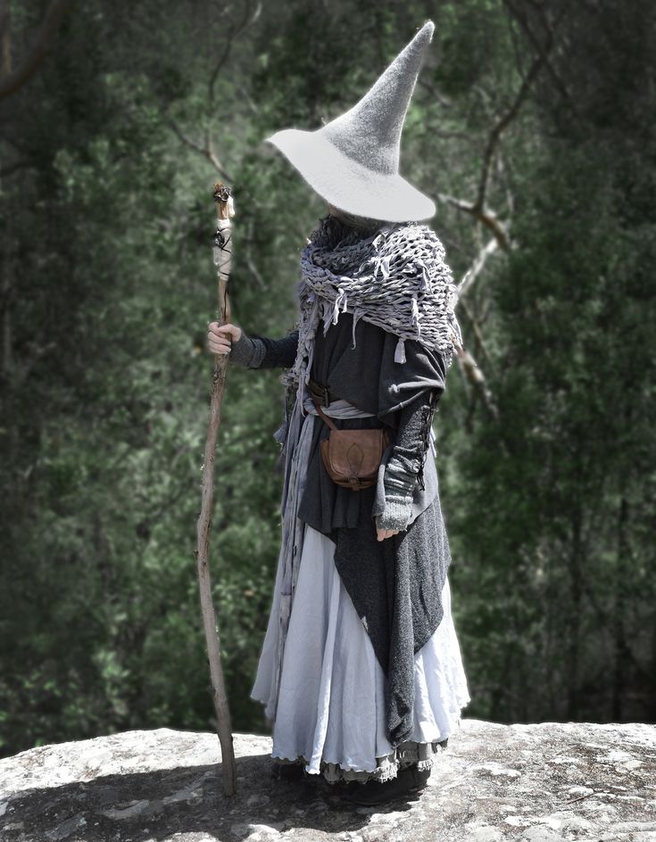 a person dressed as a wizard stands in a forest. they wear a tall, pointed hat, a gray shawl, and robes. they carry a staff in their left hand and have a brown leather pouch at their waist. the background shows a dense forest.