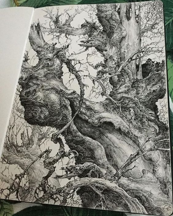 the image shows a detailed pen and ink drawing of an ancient, gnarled tree or group of intertwined trees. the style is highly realistic, capturing the texture of bark, the intricate branching patterns, and the overall sense of age and decay.  the artist utilizes varied line weights and crosshatching to create depth and shadow, giving a threedimensional quality to the image.  the scene depicts a dense, almost claustrophobic, woodland setting. the drawing is presented open in a sketchbook, suggesting a work in progress or a personal artistic study. the overall tone is dark and somewhat moody, emphasizing the organic textures and forms of the trees.