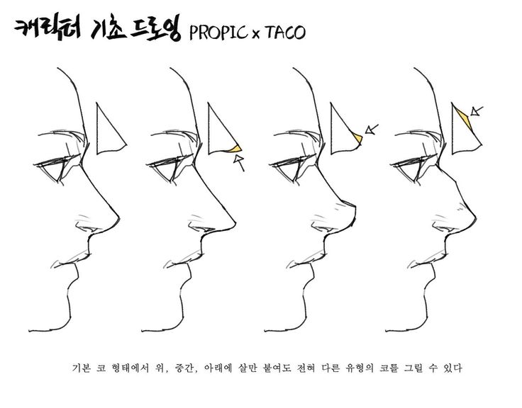 the image presents a koreanlanguage drawing tutorial (indicated by "캐릭터 기초 드로잉" meaning "character basic drawing") seemingly in collaboration with propic x taco.  it focuses on drawing different nose shapes. the tutorial demonstrates how subtle changes in adding volume (the yellow highlighted areas) to the basic nose shape can create significantly different results, illustrating variations on a fundamental facial feature.  the style is simple line art and the overall aesthetic hints at either a manga/anime style or a broader, simple illustrative style common in character design.  the text at the bottom explains that with simple additions of form to a basic nose, you can achieve a variety of results.
