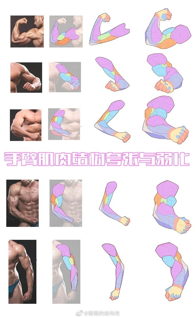 this image is a detailed guide on how to draw arm muscles. it shows various poses and angles of arms, with a breakdown of the individual muscle groups in pastel colors. the image includes both realistic photographs of muscular arms and stylized illustrations, making it suitable for artists of various skill levels.  the chinese text at the top likely translates to a title related to arm muscle drawing and anatomy.