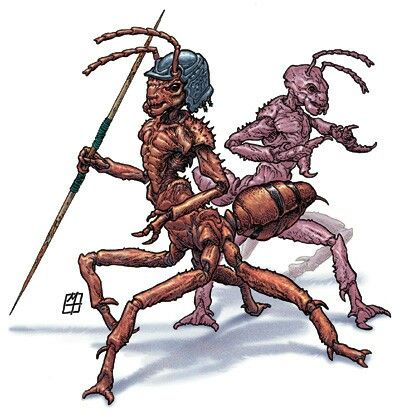 the image showcases concept art for two anthropomorphic ant warriors. rendered with a traditional art style, the ants stand on a plain white background.  the foreground ant, more detailed and vibrantly colored,  holds a spear and wears a rounded helmet.  a second, paler ant is positioned behind, striking a defensive pose. their anatomy blends insect features with humanlike musculature and poses.