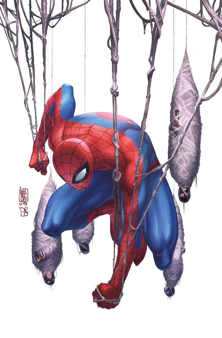 a digital illustration of spiderman hanging upside down from white weblike straps, he has his mask on and is looking towards the left of the frame. there is a white background.