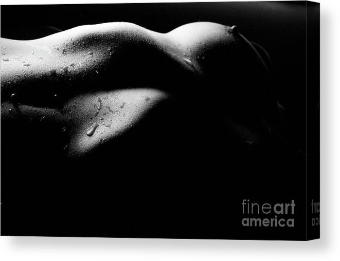 the image is a black and white, closeup photograph of a woman's torso. the lighting is dramatic, using strong contrast between light and shadow to emphasize the curves and contours of the body.  the skin appears glistening, possibly from sweat or water droplets. the overall mood is sensual and intimate, with a focus on the aesthetic qualities of the human form. the composition is abstract, using shadow to create a sense of mystery and intrigue.