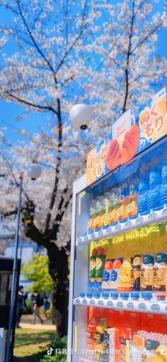 a vending machine stands in front of a cherry blossom tree in full bloom on a sunny spring day.  the vending machine is stocked with a variety of drinks, and the cherry blossom tree is covered in white flowers. the sky is blue and the sun is shining. there are people in the background.