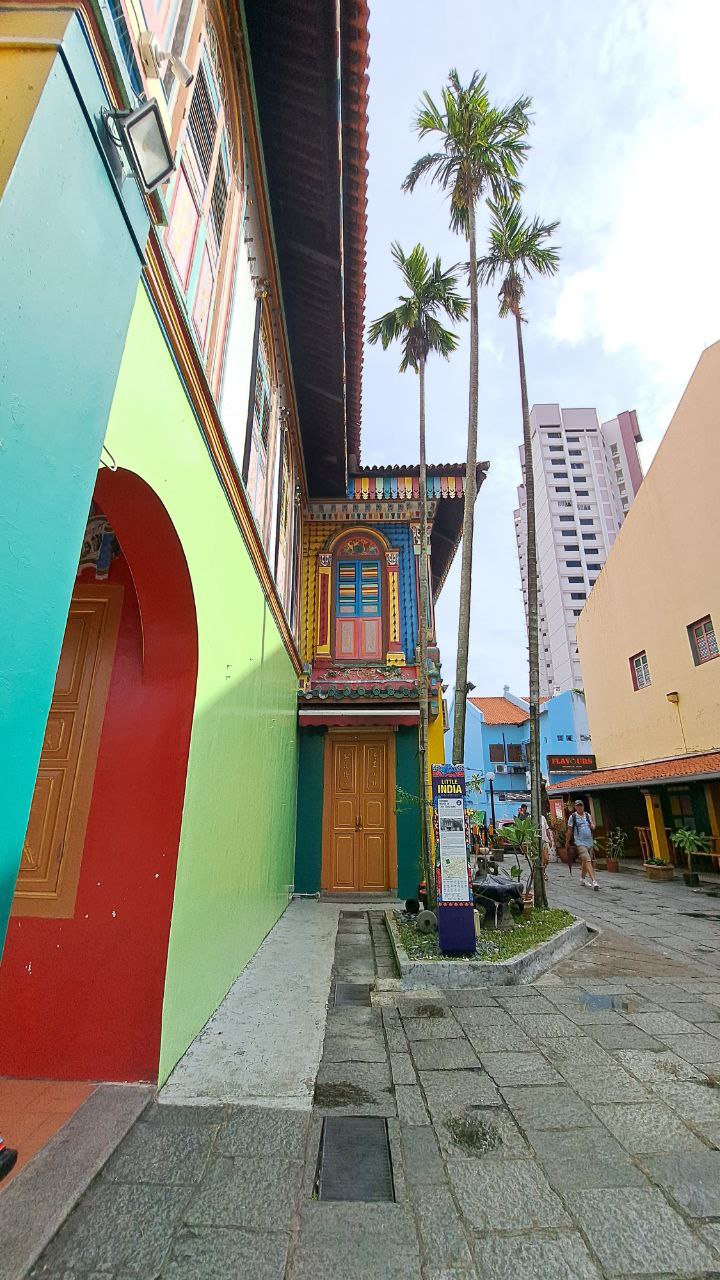 a vibrant street scene in singapore, showcasing a row of colorful shophouses. the architecture is a mix of traditional asian and colonial styles, with richly painted facades and intricate details.  palm trees frame the scene, adding to the tropical feel. the street is paved with stone, and there are a few people visible in the distance. the image is taken from a low angle, emphasizing the height of the buildings and the upwardreaching palm trees.  the overall mood is one of bright energy and cultural richness.