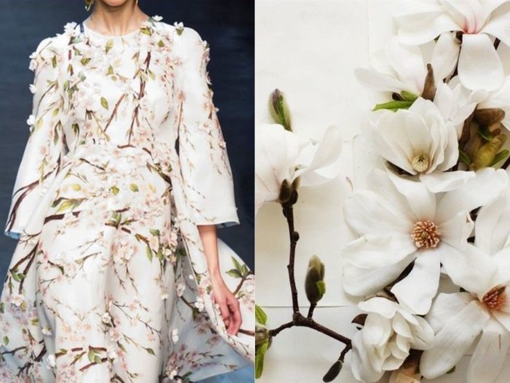 a woman is wearing a white dress with a floral pattern. the dress is adorned with delicate white flowers, resembling cherry blossoms. the background features a closeup of white magnolia flowers with soft, textured petals. the image evokes a sense of elegance, femininity, and spring.