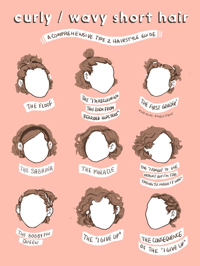 this illustration is a humorous guide to different curly and wavy hairstyles for short hair, specifically type 2 hair.