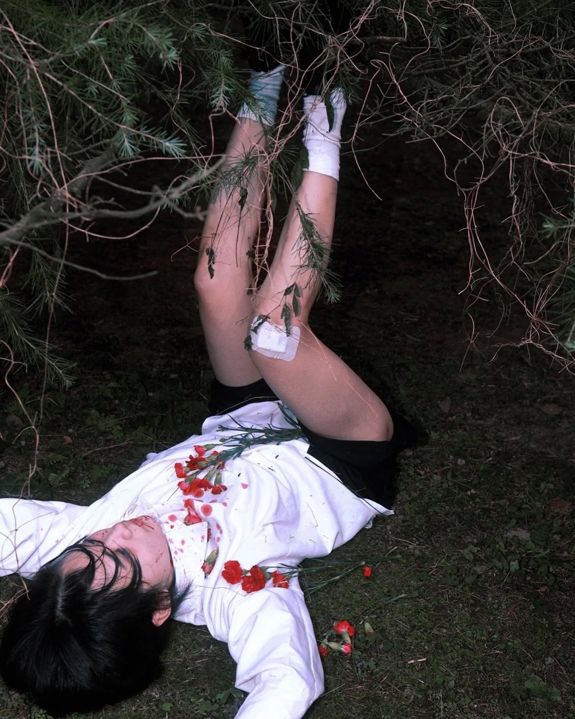 a woman is lying on the grass under a tree. she is wearing a white shirt and black skirt. there are red flowers scattered around her, and there is blood on her shirt and around her mouth. she has cuts and scars on her legs. she is lying upside down, with her legs partially obscured by tree branches.