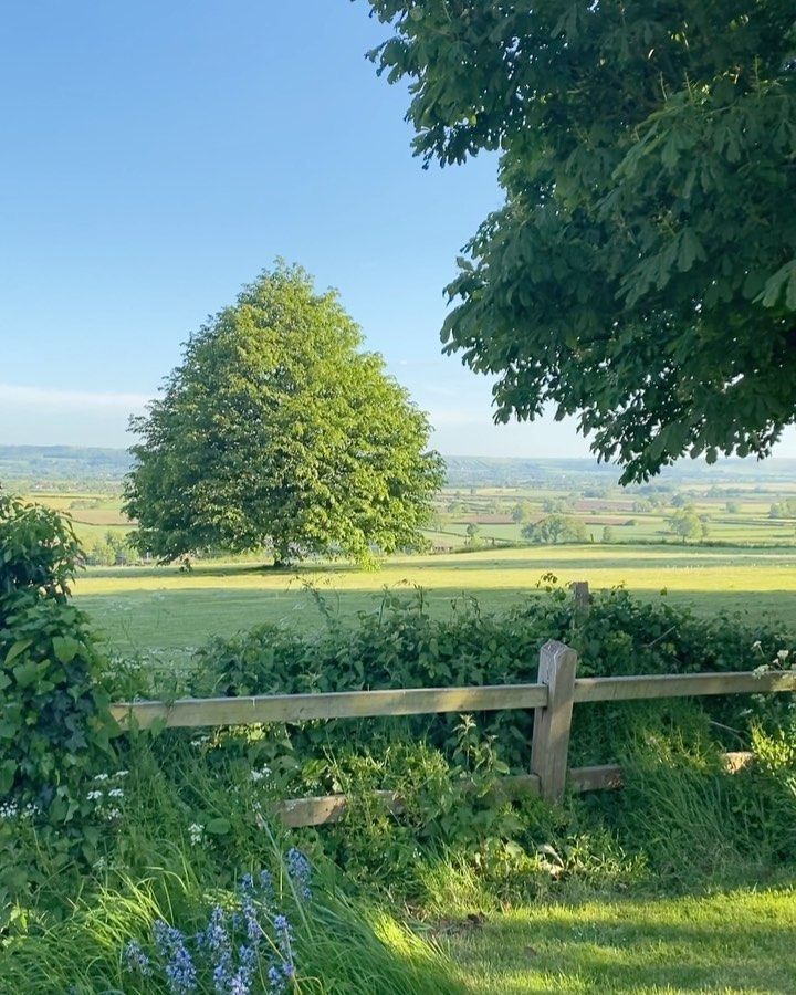 the image shows a picturesque countryside scene on a sunny day. a large, fullbodied tree stands prominently in a field, with rolling hills and farmland stretching out in the background. a wooden fence runs across the foreground, partially obscured by lush green foliage. the sky is a vibrant blue, dotted with a few fluffy white clouds. the overall impression is one of peace, tranquility, and the beauty of the natural world.