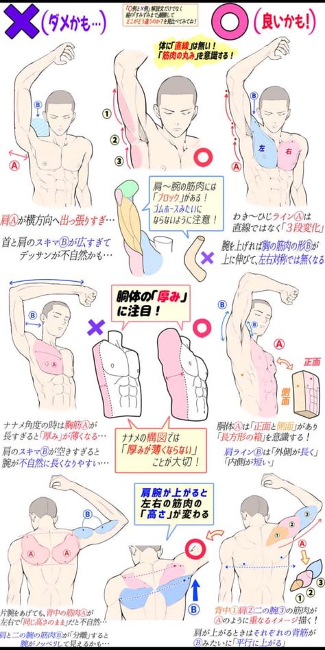 the image is a tutorial on how to draw male anatomy, focusing on muscles. it highlights common mistakes, such as drawing the arms too straight or the chest too flat. the tutorial is written in japanese and illustrated with drawings of a man in different poses.