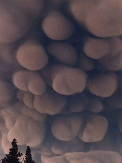 a photograph of a large lenticular cloud formation, creating a unique and interesting pattern in the sky.
