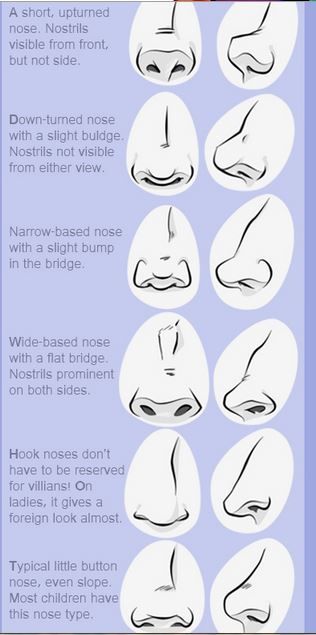 the image displays a chart of different nose types drawn in a simple, illustrative style. each nose type is presented in both a frontal and side view, accompanied by a brief description of its characteristics. the nose types included are upturned, downturned, narrowbased, widebased, hook, and button.