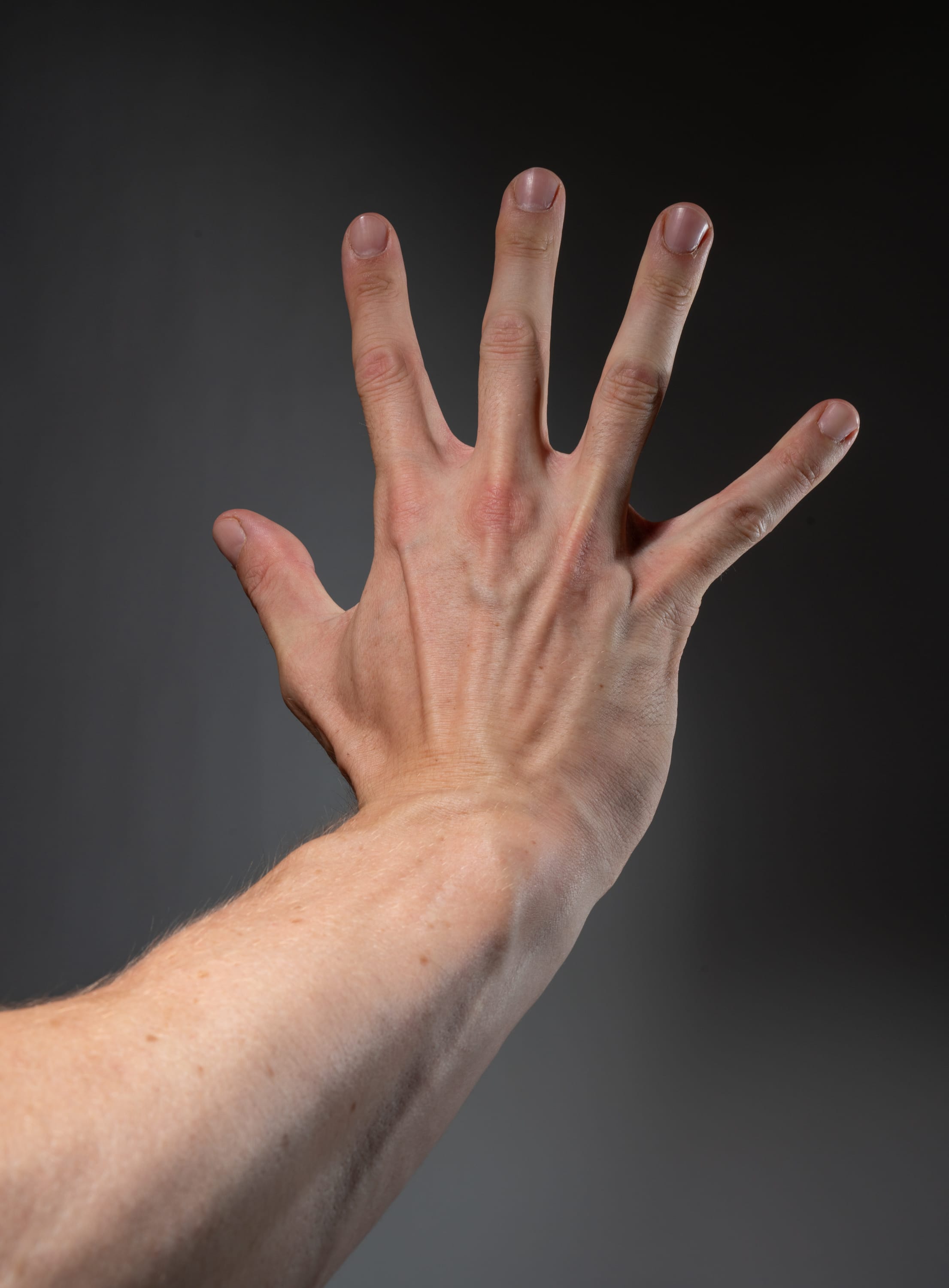 a closeup image of a fairskinned male hand and arm extended forward against a gray background. the hand is open with fingers spread apart, showcasing prominent veins and detailed skin texture. the studio lighting emphasizes the contours and details of the hand.