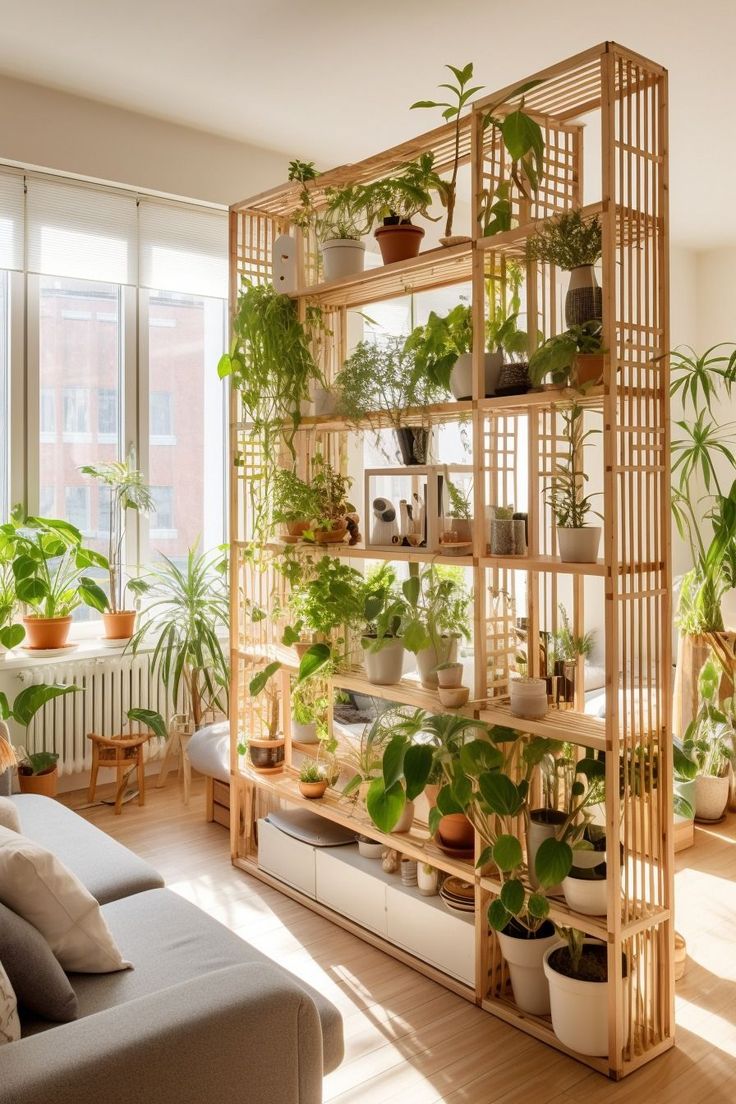 a bright and airy living room features a large wooden room divider filled with numerous potted plants. the divider acts as a shelving unit, with multiple shelves holding a variety of greenery in different sized pots. the room divider is made of lightcolored wood, creating a minimalist and contemporary feel. a comfortable grey sofa with cushions sits in front of the plantfilled divider, bathed in the warm sunlight streaming through a large window. other plants are visible in the background adding to the overall lush, green ambiance of the space. the room suggests a cozy and comfortable atmosphere with a focus on natural elements.