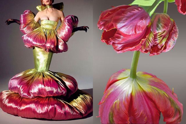 the image shows a woman wearing a dress that is designed to look like a tulip flower. the dress is made of pink and green fabric, with gold accents. the woman is standing in a  pose that accentuates the dress's shape and floral resemblance. the dress has a long, flowing skirt and a fitted bodice. the woman's hair is styled in a simple updo, and she is wearing minimal makeup. the background is a simple gray color. the image is striking and unusual, and it is sure to catch the eye of anyone who sees it.