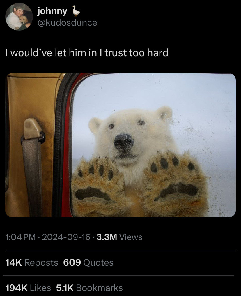 the image is a screenshot of a tweet from a user named "johnny" (@kudosdunce). the tweet features a picture of a polar bear cub pressing its paws against a car window from the outside. the tweet's caption reads, "i would've let him in i trust too hard," implying a humorous sense of overtrust.  below the image are the tweet's statistics, showing the number of reposts, quotes, likes, and bookmarks.  the overall tone is lighthearted and playful.