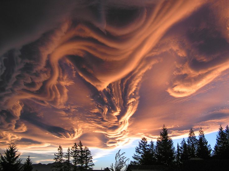 a breathtaking view of a dramatic sunset with a sky filled with lenticular clouds. the clouds are a beautiful, swirling, orange, pink, and purple. in the foreground, a line of silhouette trees stand tall.  a mountain peak can be seen in the background. the image was likely taken from a high vantage point, giving the viewer a stunning perspective.
