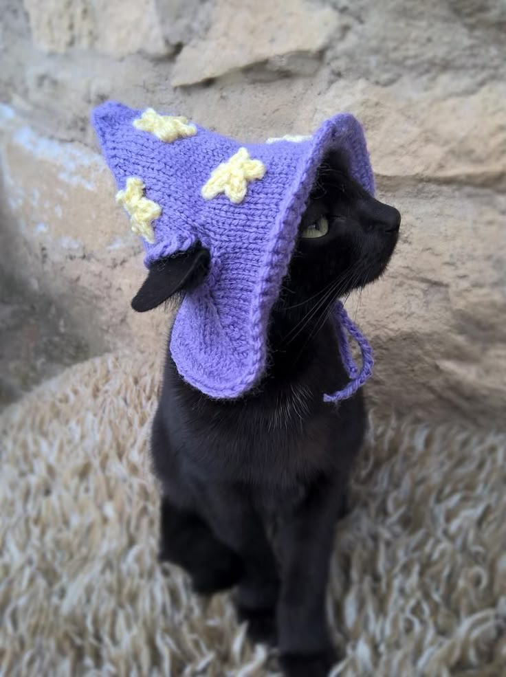 a black cat is wearing a purple knitted wizard hat with yellow stars on it. the cat is sitting on a shaggy surface. there is a stone wall in the background.