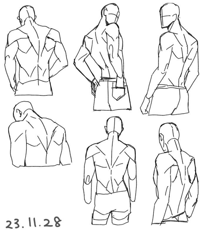 a line art sketch of male anatomy showing different poses of the back muscles,  this would be helpful for learning about the human anatomy.  the sketch is drawn in black on white paper, and the linework is clear and detailed.