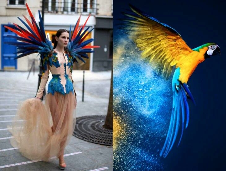 the image is split into two parts. the left side shows a fashion model wearing a long dress made with feathers, while the right side depicts a colorful parrot flying with its wings spread out. the model's dress is a masterpiece of colorful feathers, arranged in a way that resembles wings. the parrot, on the other hand, is a symbol of freedom and beauty, flying against a dark blue background. the image as a whole combines fashion and nature, creating a vibrant and artistic composition.
