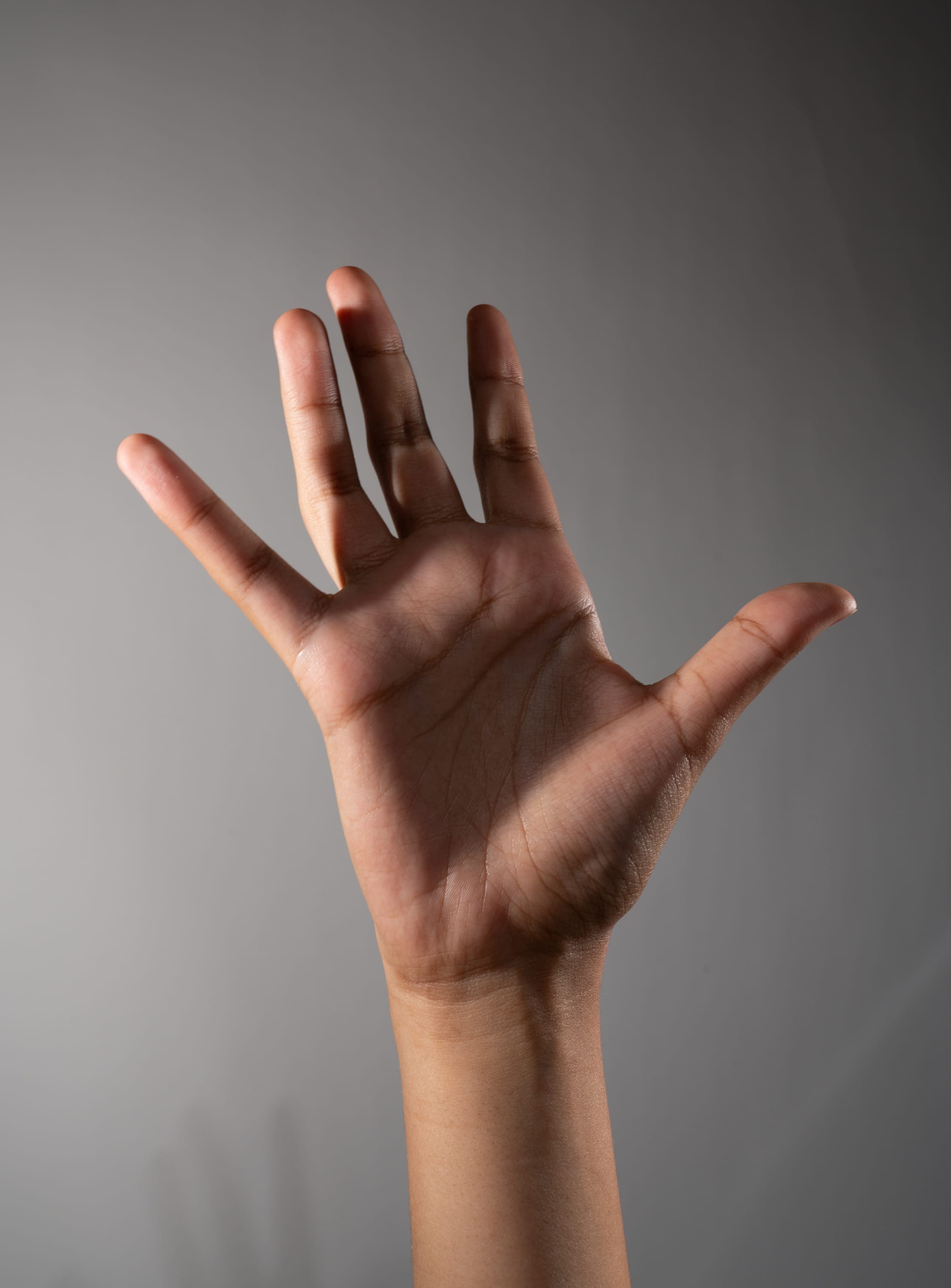 the image shows a single hand, with its fingers extended, against a muted gray background. the hand is positioned palmoutward, as if gesturing the number five. the lighting is soft and natural, creating gentle shadows and highlighting the details of the skin and lines on the hand.