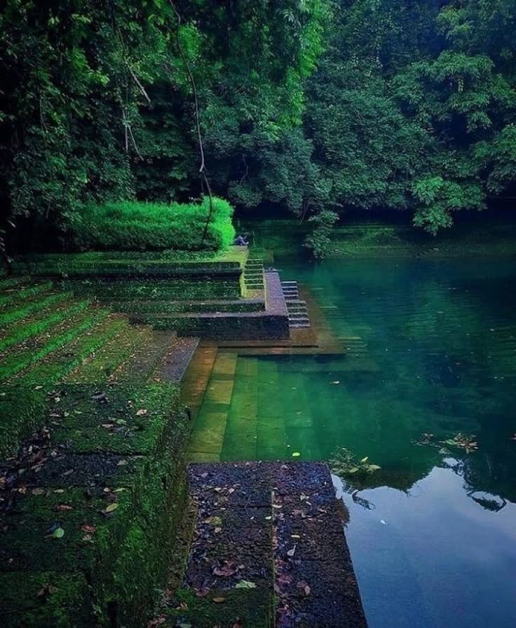 a scenic view of a lake featuring stone steps covered in moss leading down to the water. the surrounding area is lush with greenery, including trees and various plants. the water is calm and reflective, creating a serene atmosphere in a natural outdoor setting.