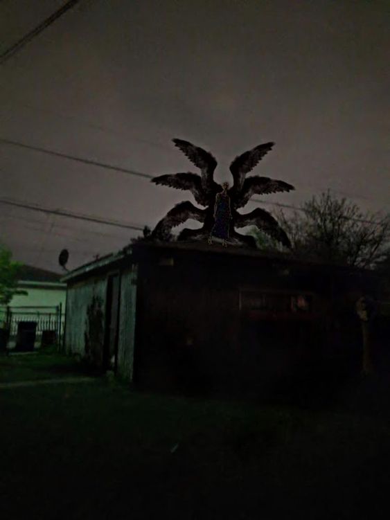 the image shows a dark and blurry figure with large wings perched on the roof of a garage at night. the figure appears to be humanoid in shape and is facing the viewer. the overall atmosphere is eerie and unsettling.