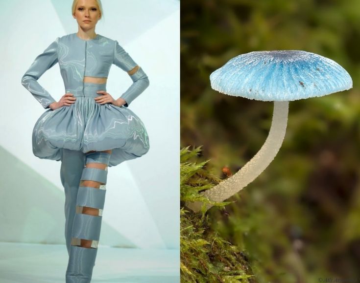 the image is a split image. on the left side, a model wearing a blue dress with a large, puffy skirt, and a pair of pants with strapped on legs. on the right side is a blue mushroom on a forest floor surrounded by green moss.