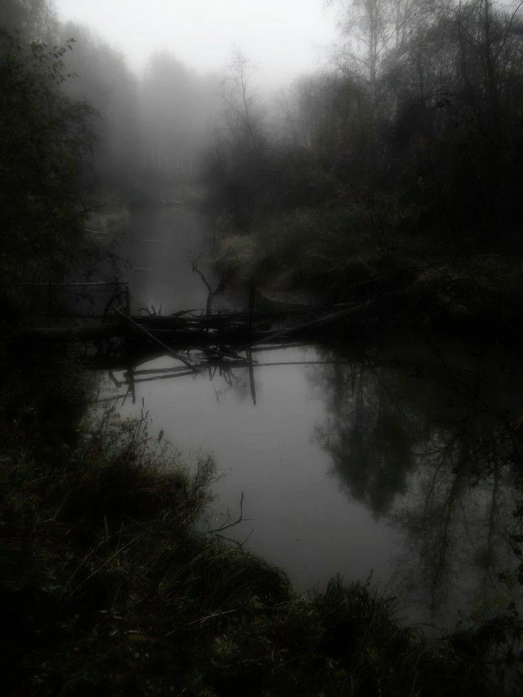 a dark and mysterious forest scene with a river running through it. the trees are shrouded in fog, creating an eerie atmosphere. the water is still and reflects the surrounding trees. fallen branches and logs create a sense of decay and abandonment. the scene is both beautiful and unsettling, suggesting a place of mystery and danger.