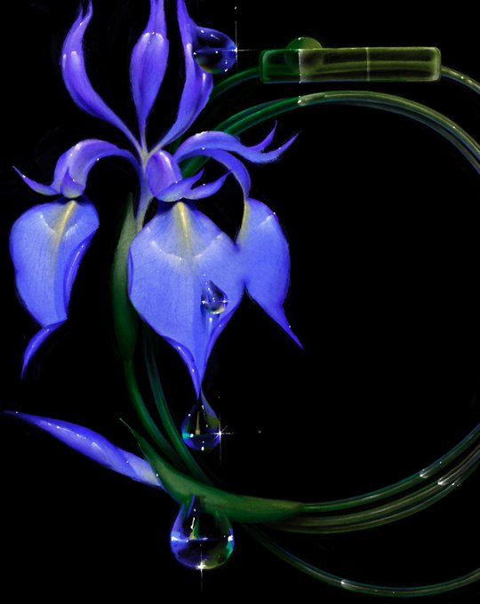 the image is a striking digital artwork or manipulated photograph depicting a single blue iris flower. the iris is rendered with intense, vibrant blue hues, and appears almost luminous.  large, glistening water droplets cling to the petals and stem. the flower is artfully arranged with its stem curving into a nearcircular shape, accented by translucent green tubes or stems that form a frame around the flower. the background is a deep, rich black, which enhances the vivid colors of the iris and the sparkling water droplets. the overall style is surreal and elegant, blending elements of nature with an abstract, almost futuristic aesthetic. the image has a high level of detail and appears digitally enhanced to emphasize light and texture.